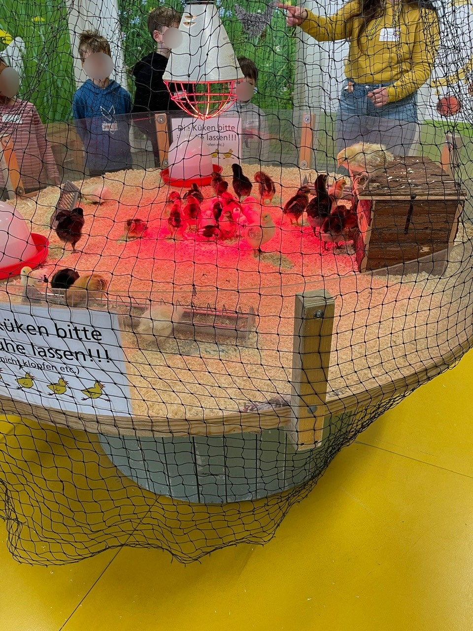1,2,3 Küken aus dem Ei