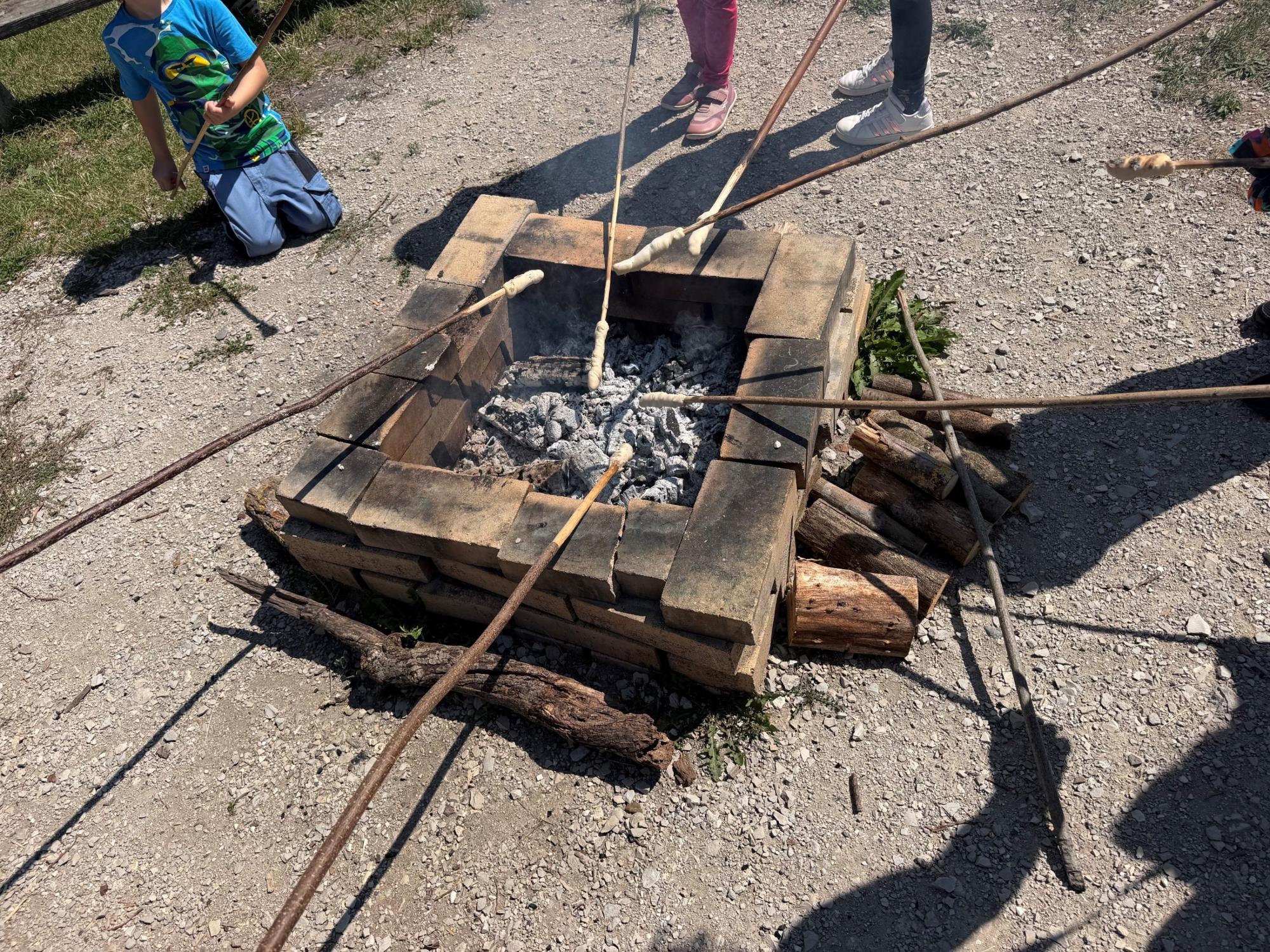 Bild5
