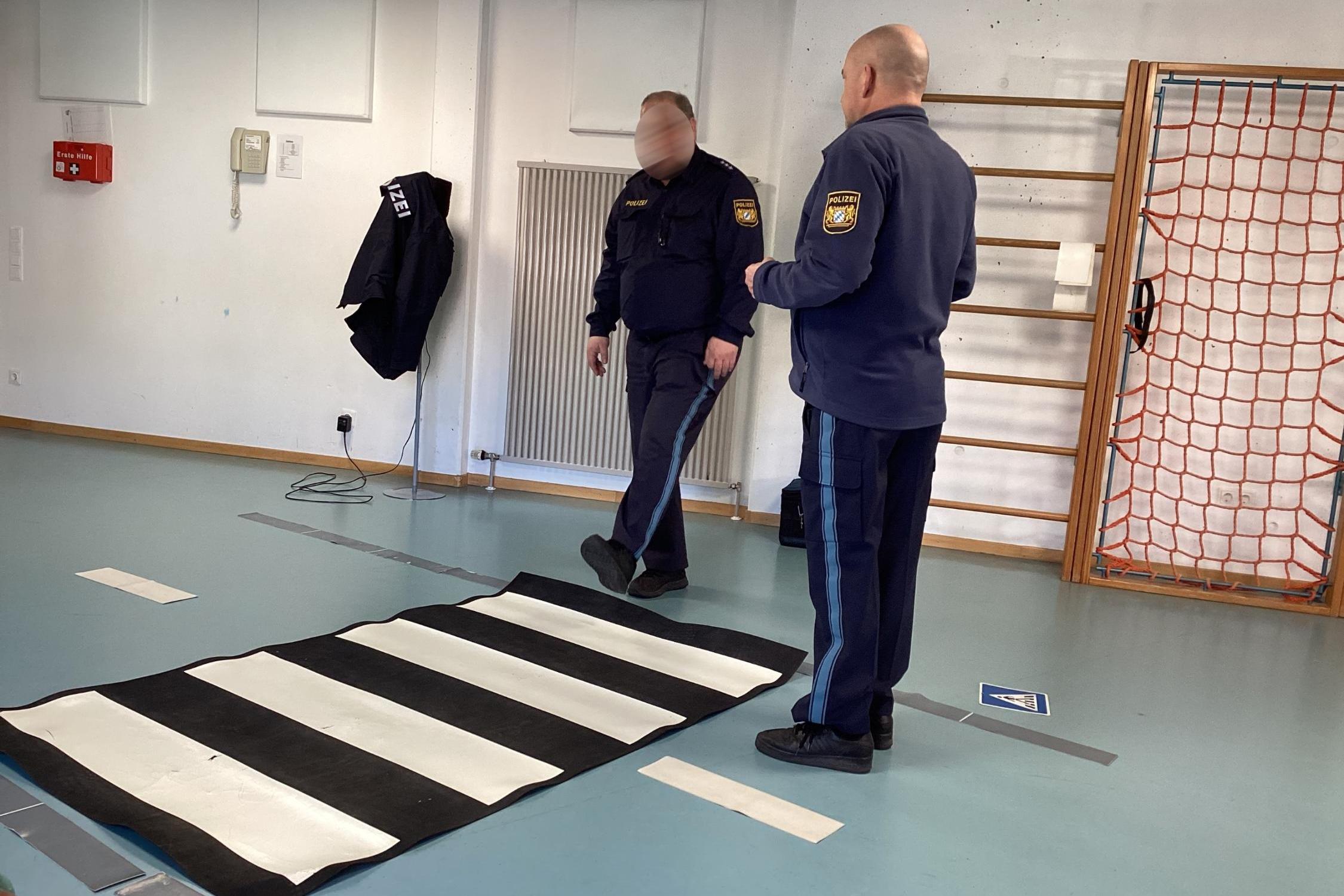 Verkehrserziehung-Strassenueberquerung-1.jpeg_550661120