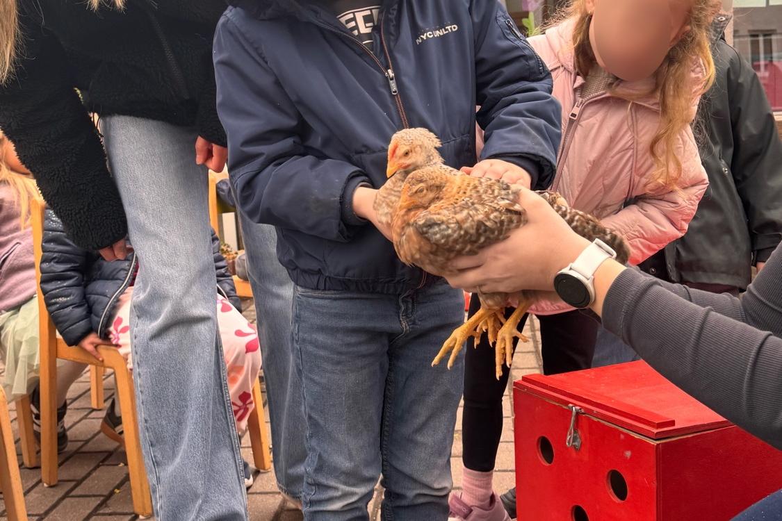 Vogelverein zu Besuch