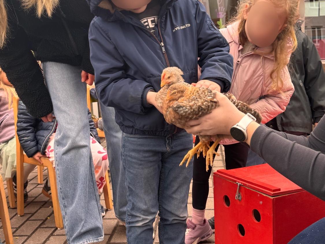Vogelverein zu Besuch